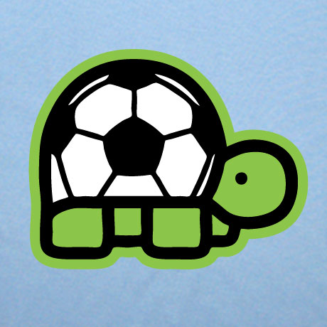 turtlewayne_soccer0.jpg